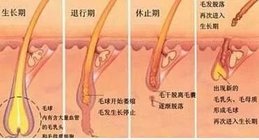 案例图片