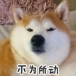 https://img.miyanlife.com/mnt/timg/190519/120033NV-9.jpg