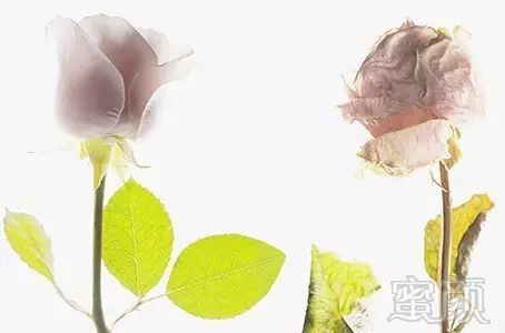 https://img.miyanlife.com/mnt/timg/190522/1152151S6-2.jpg