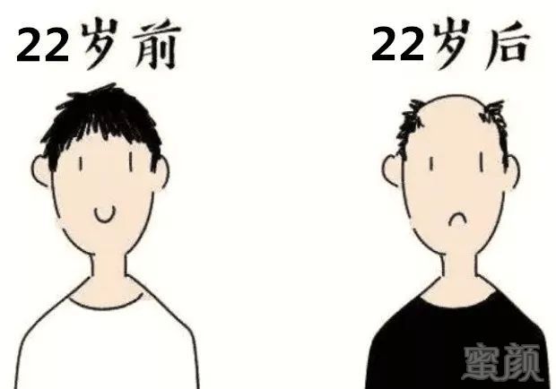 案例图片