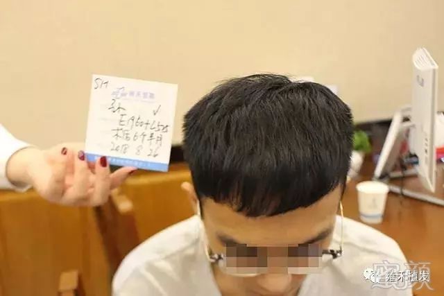 案例图片