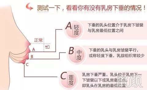 案例图片