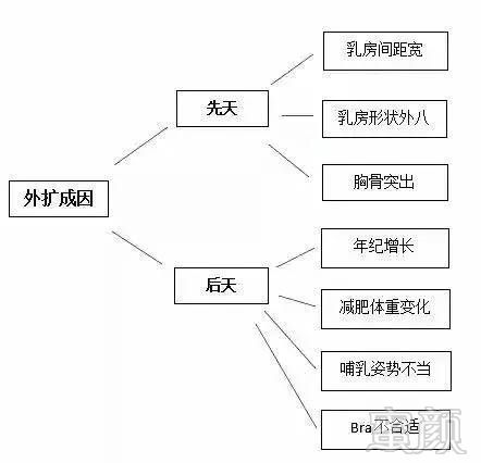 案例图片