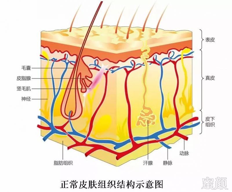 案例图片