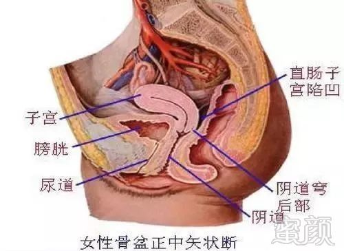 案例图片