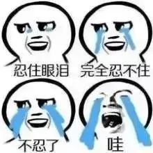 https://img.miyanlife.com/mnt/timg/190528/12060UR3-1.jpg