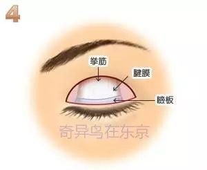 https://img.miyanlife.com/mnt/timg/190530/1134491261-12.jpg