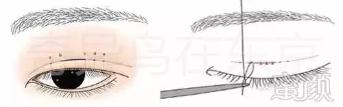 https://img.miyanlife.com/mnt/timg/190530/11344GF2-0.jpg