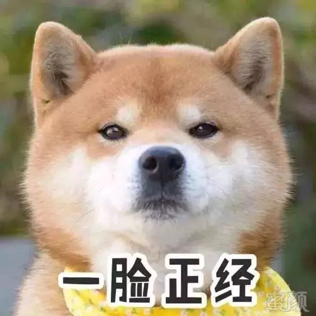 https://img.miyanlife.com/mnt/timg/190530/114115J08-4.jpg