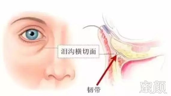 https://img.miyanlife.com/mnt/timg/190530/12204IX2-5.jpg