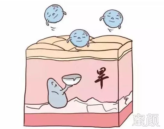 案例图片