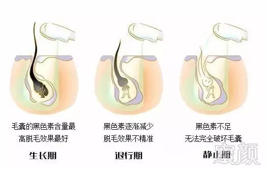 案例图片