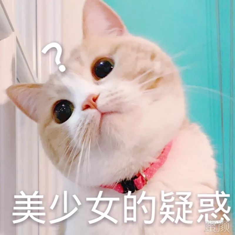 https://img.miyanlife.com/mnt/timg/190531/1135231603-0.jpg