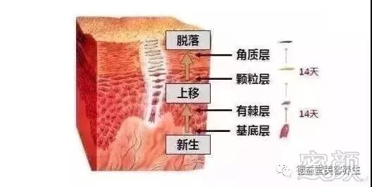 案例图片