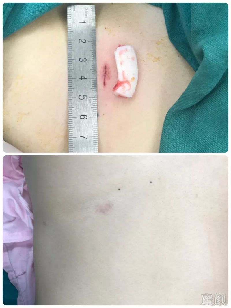 https://img.miyanlife.com/mnt/timg/190601/1159593363-5.jpg