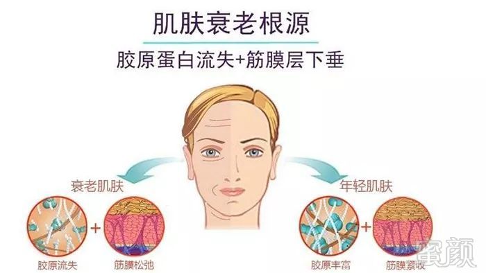 https://img.miyanlife.com/mnt/timg/190604/10505064L-4.jpg