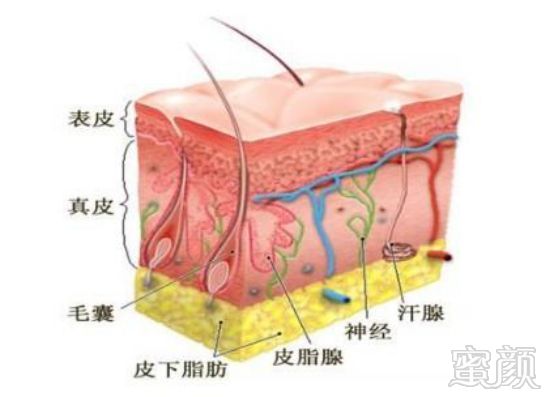 https://img.miyanlife.com/mnt/timg/190605/1150593644-2.jpg