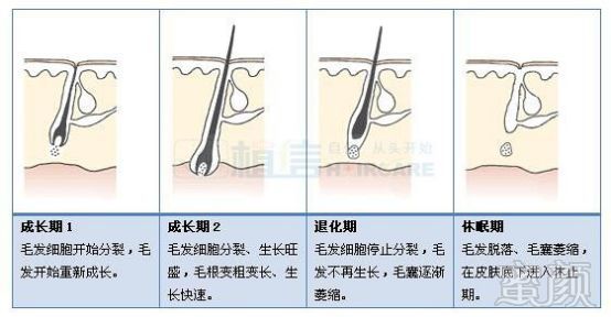 https://img.miyanlife.com/mnt/timg/190605/115100IN-4.jpg