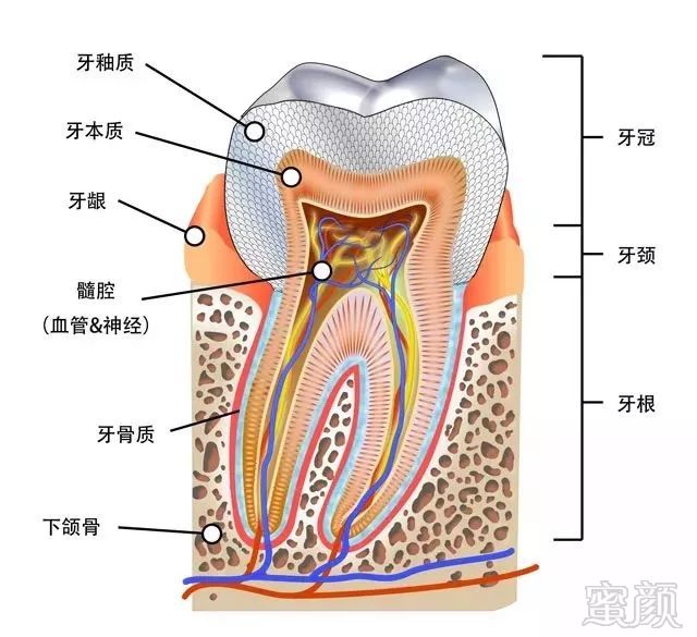 案例图片