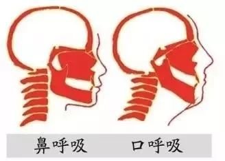 案例图片