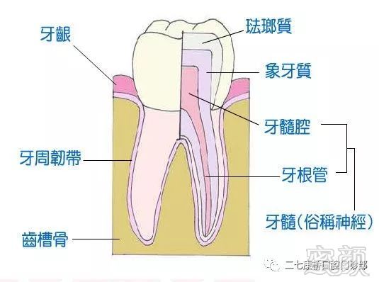 案例图片