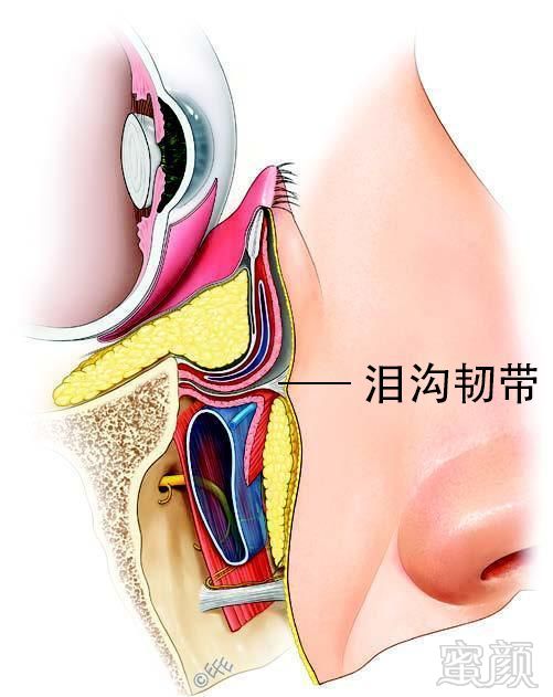 案例图片