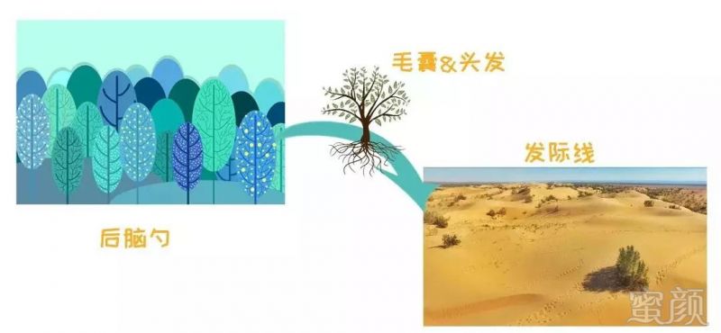 https://img.miyanlife.com/mnt/timg/190609/10444KD0-5.jpg