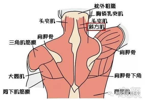 https://img.miyanlife.com/mnt/timg/190611/120S24146-1.jpg