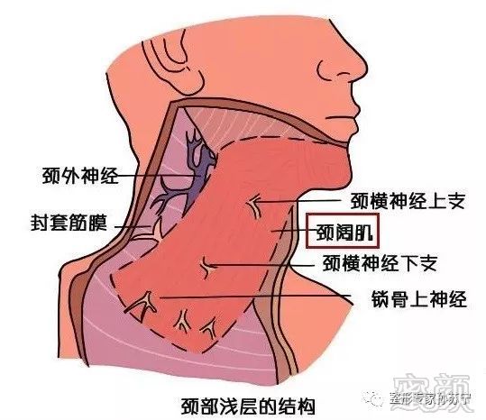 https://img.miyanlife.com/mnt/timg/190611/120S33U4-2.jpg