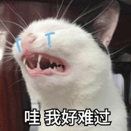 https://img.miyanlife.com/mnt/timg/190615/114R35450-1.jpg