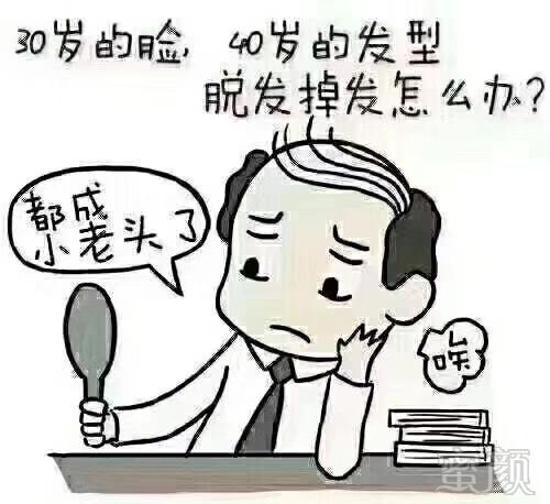 案例图片