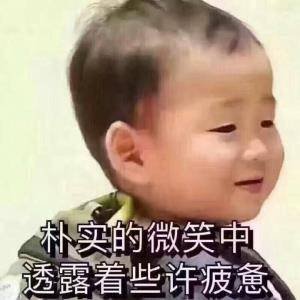 案例图片