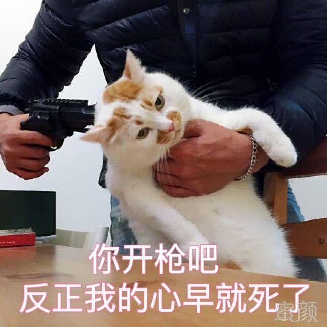 https://img.miyanlife.com/mnt/timg/190616/1004326106-2.jpg