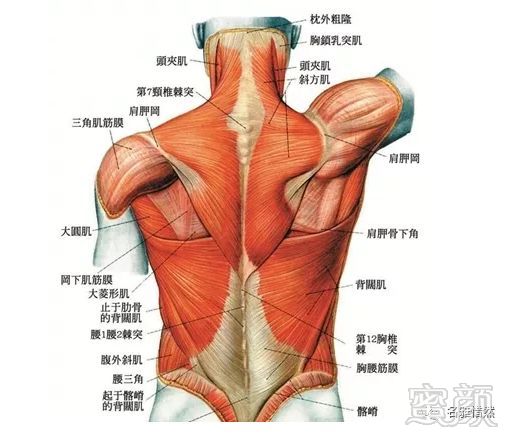 https://img.miyanlife.com/mnt/timg/190618/12122K358-2.jpg