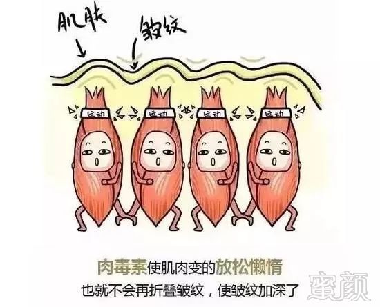 https://img.miyanlife.com/mnt/timg/190622/105R345I-1.jpg
