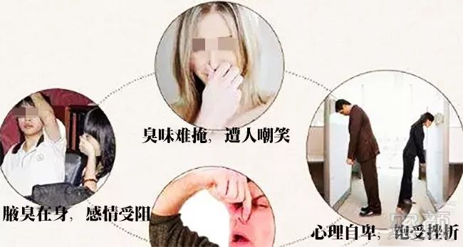 https://img.miyanlife.com/mnt/timg/190623/10095130C-0.jpg