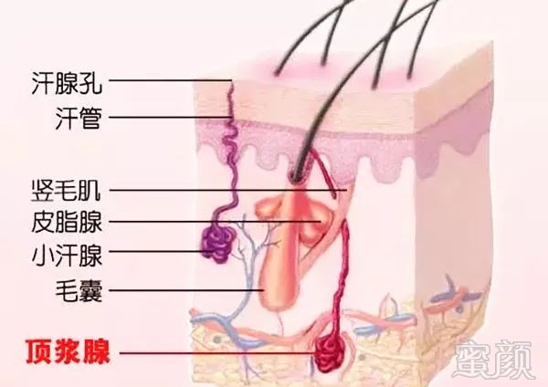 https://img.miyanlife.com/mnt/timg/190623/1009521639-2.jpg