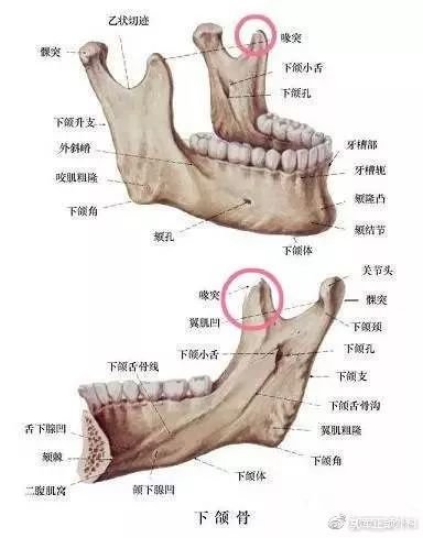 案例图片