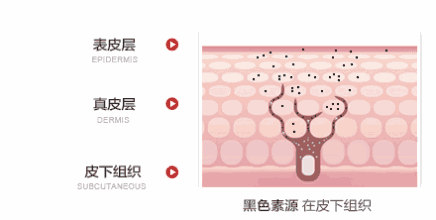 https://img.miyanlife.com/mnt/timg/190624/11540R3X-5.jpg
