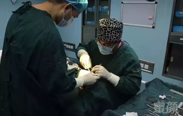 https://img.miyanlife.com/mnt/timg/190625/11444535a-9.jpg