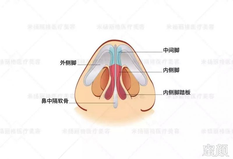 https://img.miyanlife.com/mnt/timg/190628/11192M048-0.jpg