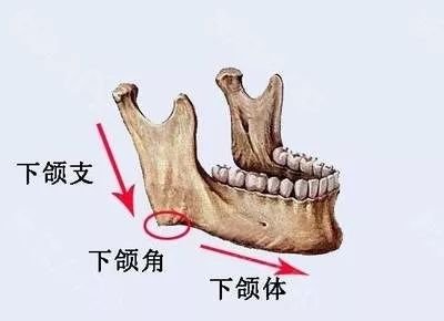 案例图片