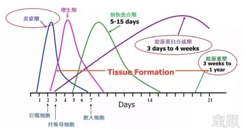 https://img.miyanlife.com/mnt/timg/190629/115523J33-4.jpg