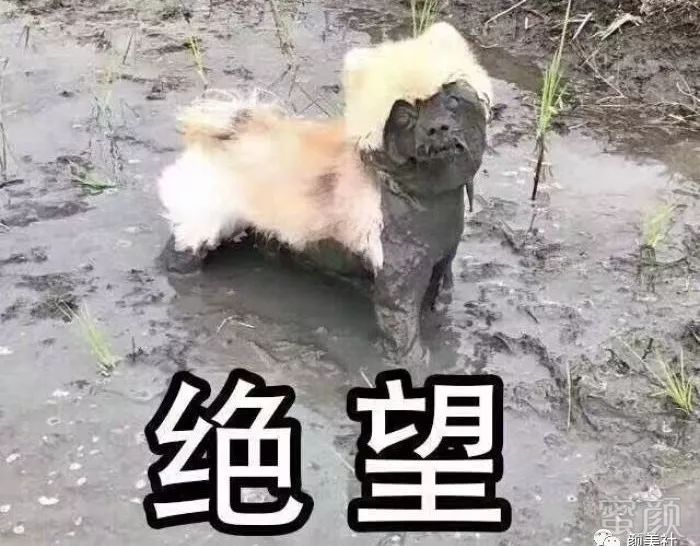 https://img.miyanlife.com/mnt/timg/190629/1212145312-1.jpg