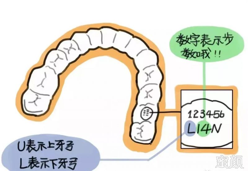 案例图片