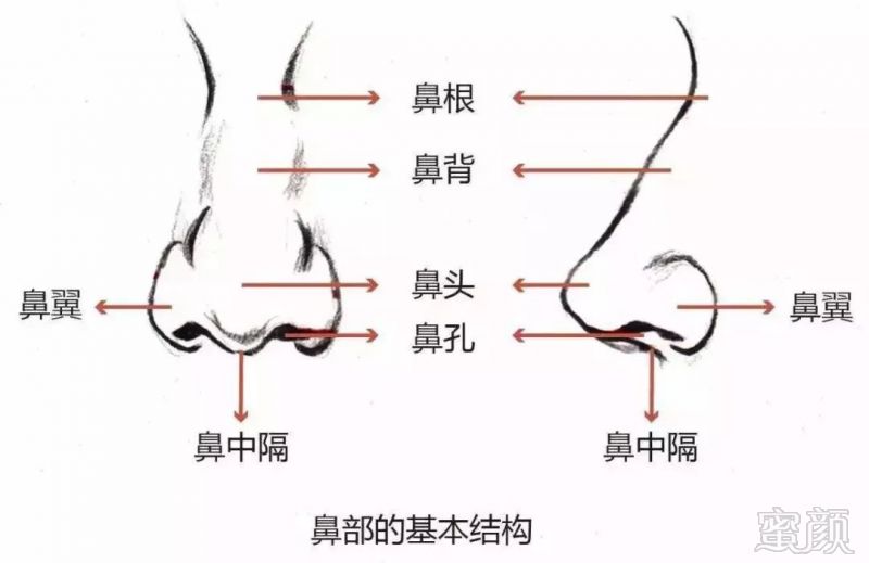 https://img.miyanlife.com/mnt/timg/190630/1144145457-11.jpg