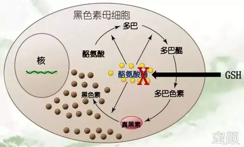 https://img.miyanlife.com/mnt/timg/190701/1136243194-12.jpg