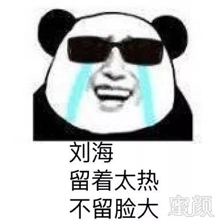 案例图片