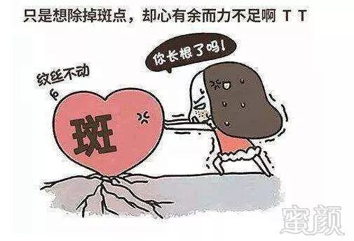 https://img.miyanlife.com/mnt/timg/190702/113R55915-0.jpg