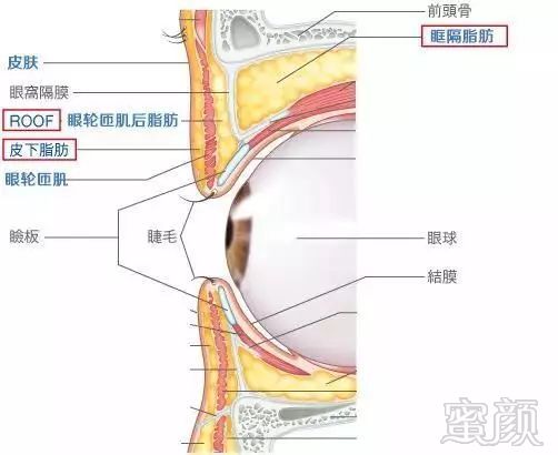 案例图片